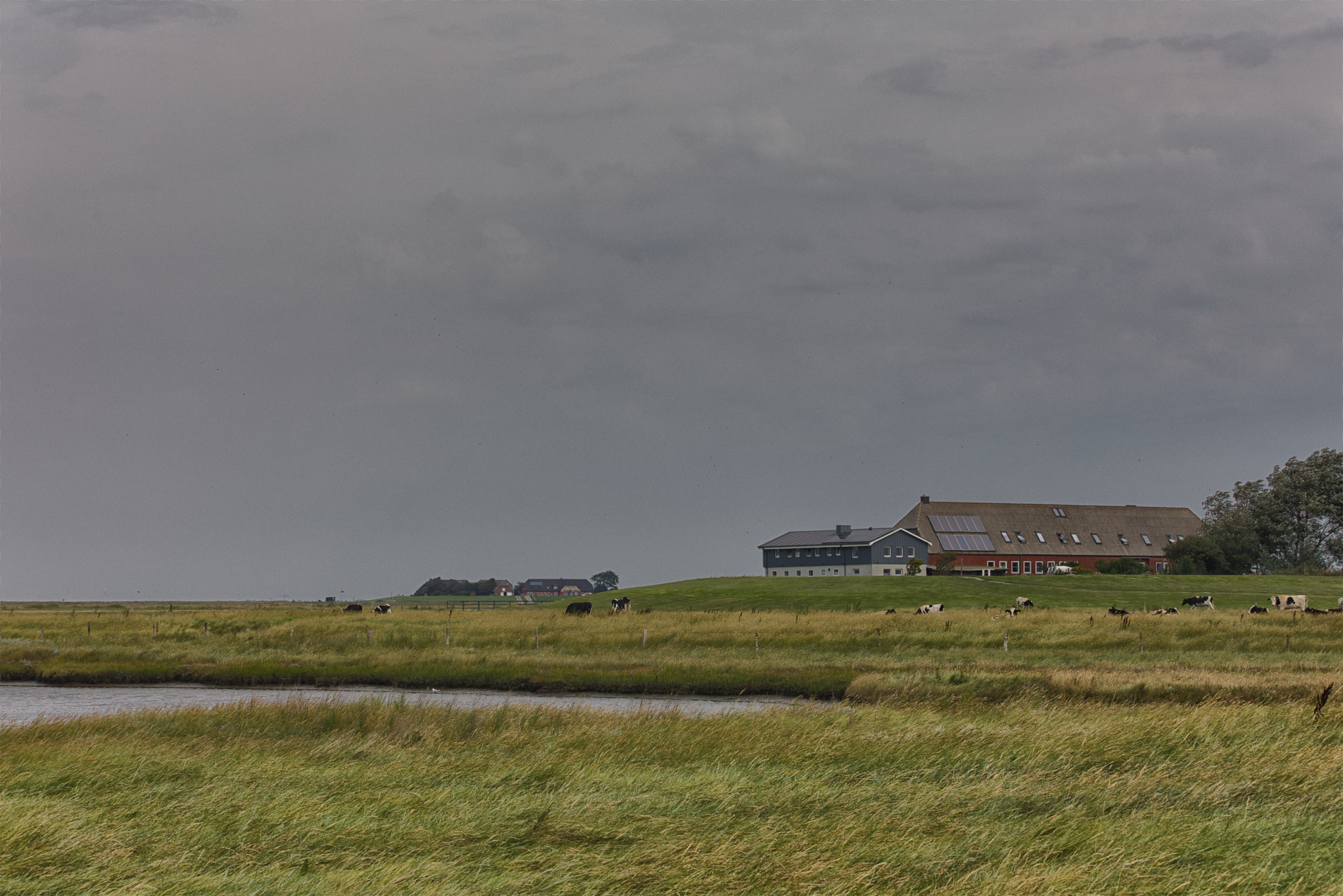 Hallig Langeneß hat uns wieder