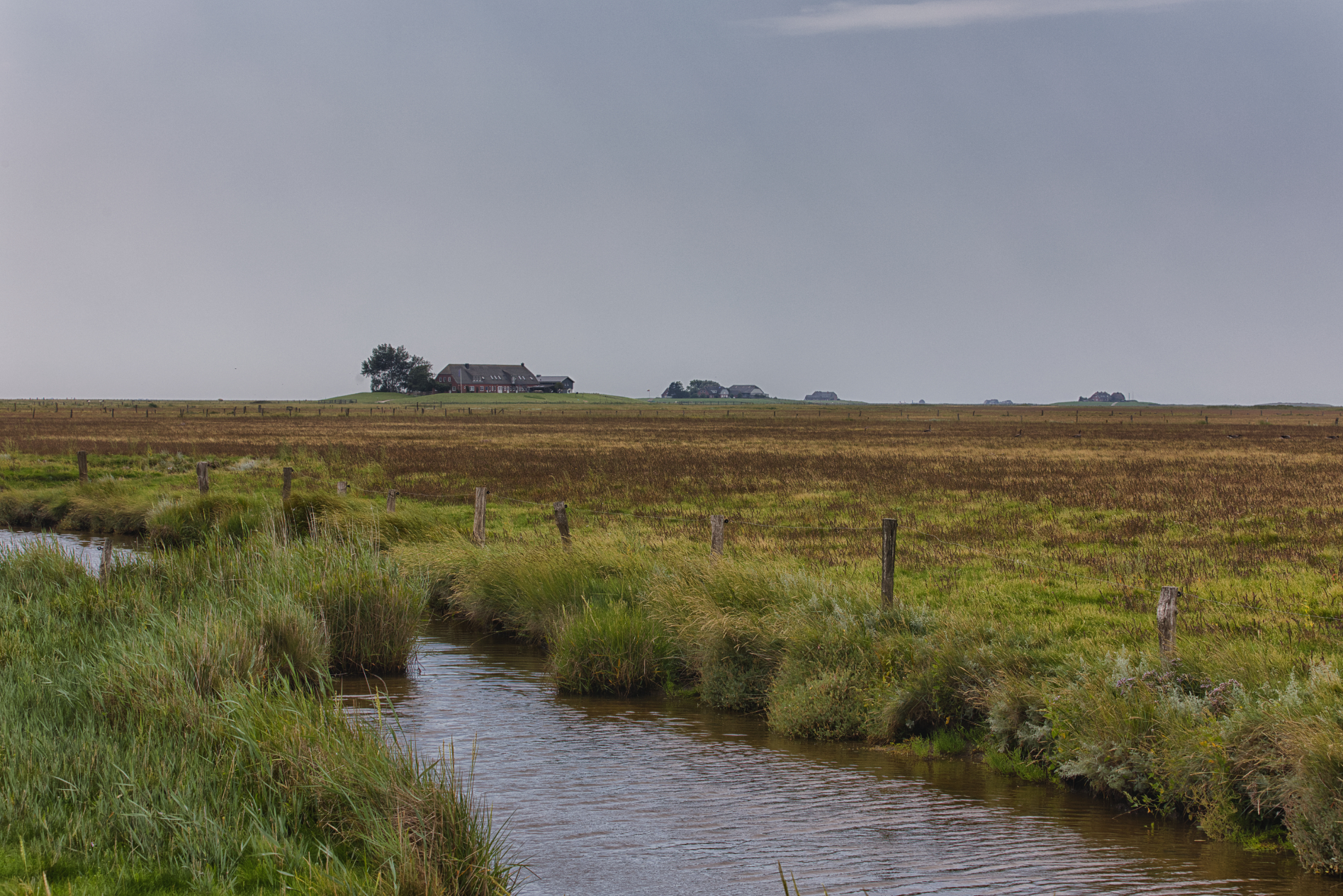 Hallig Langeneß hat uns wieder