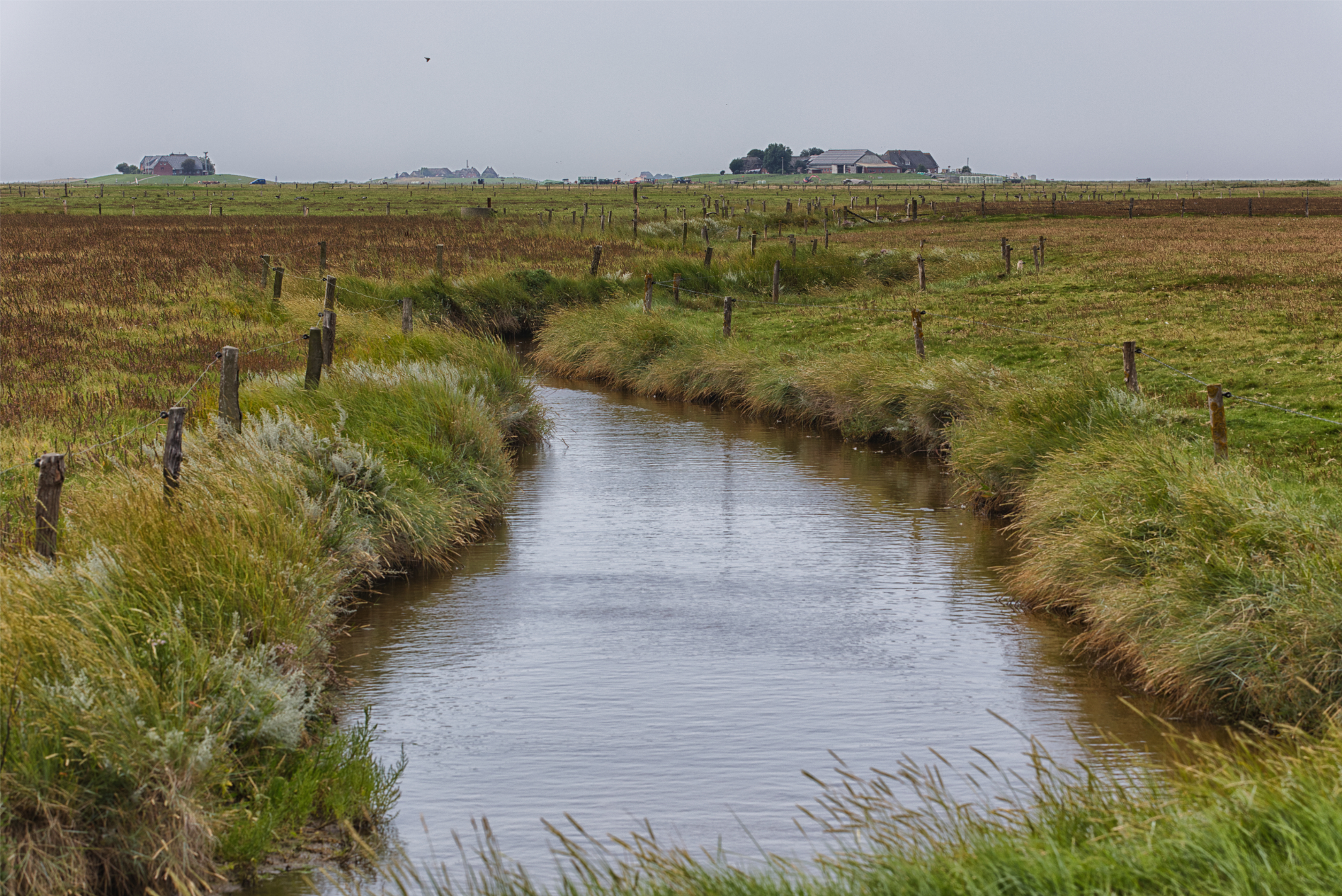 Hallig Langeneß hat uns wieder