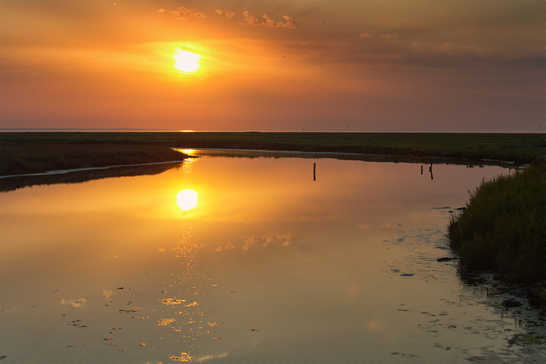 Hallig Langeneß hat uns wieder