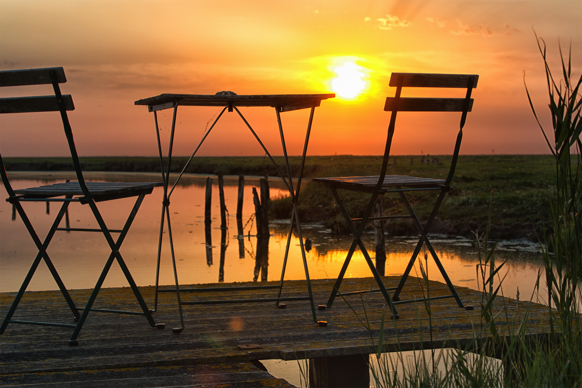 Hallig Langeneß hat uns wieder