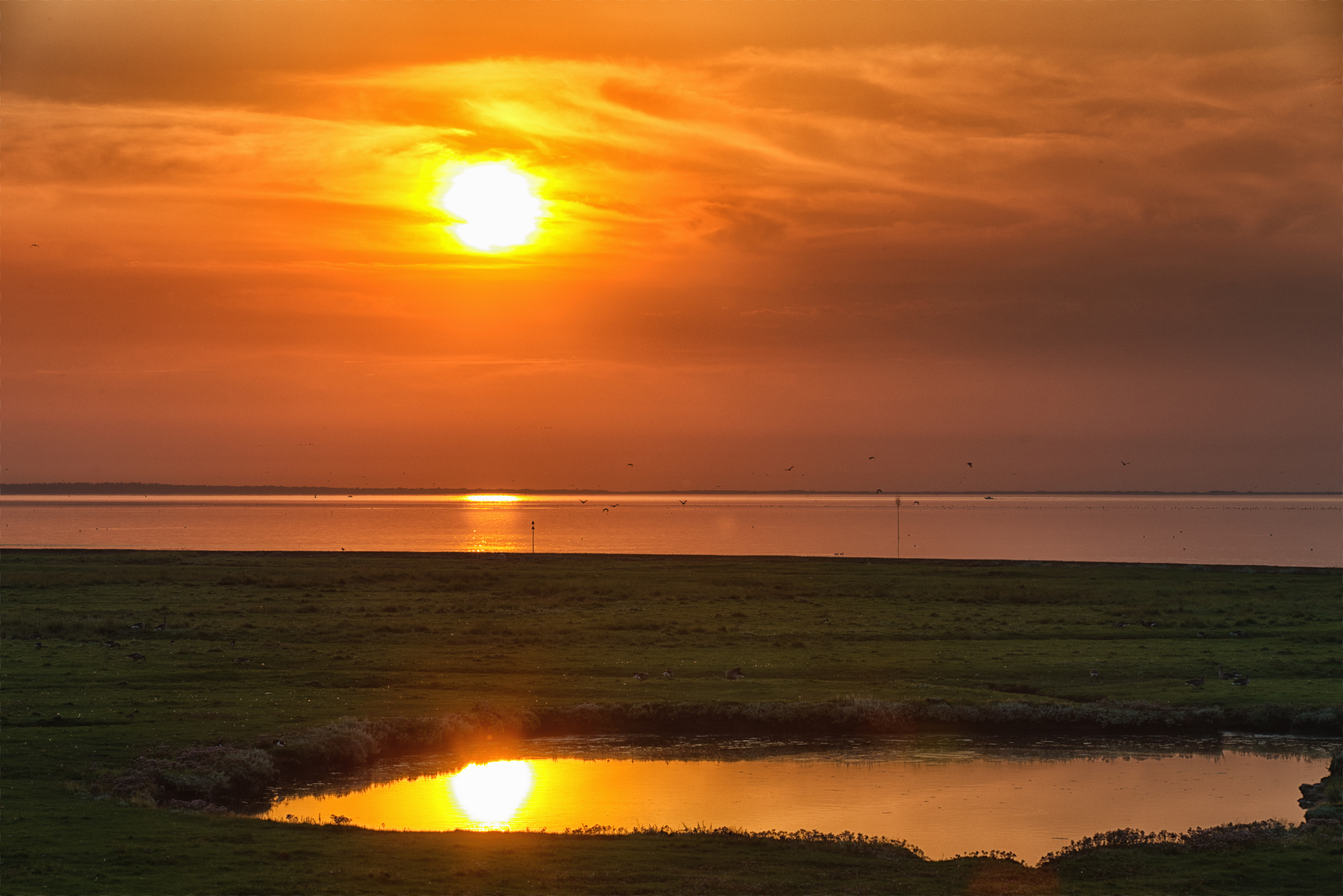 Hallig Langeneß hat uns wieder