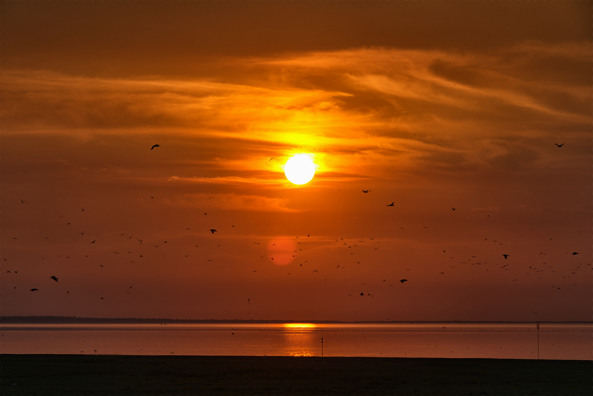 Hallig Langeneß hat uns wieder