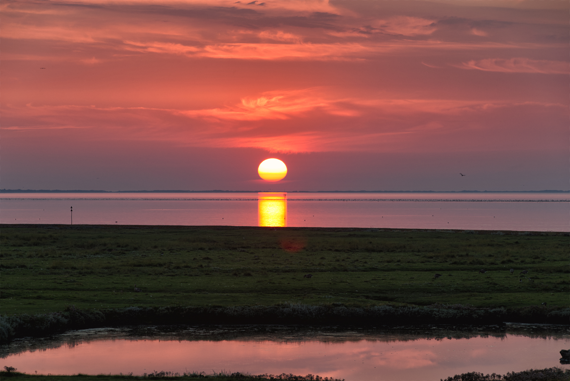 Hallig Langeneß hat uns wieder