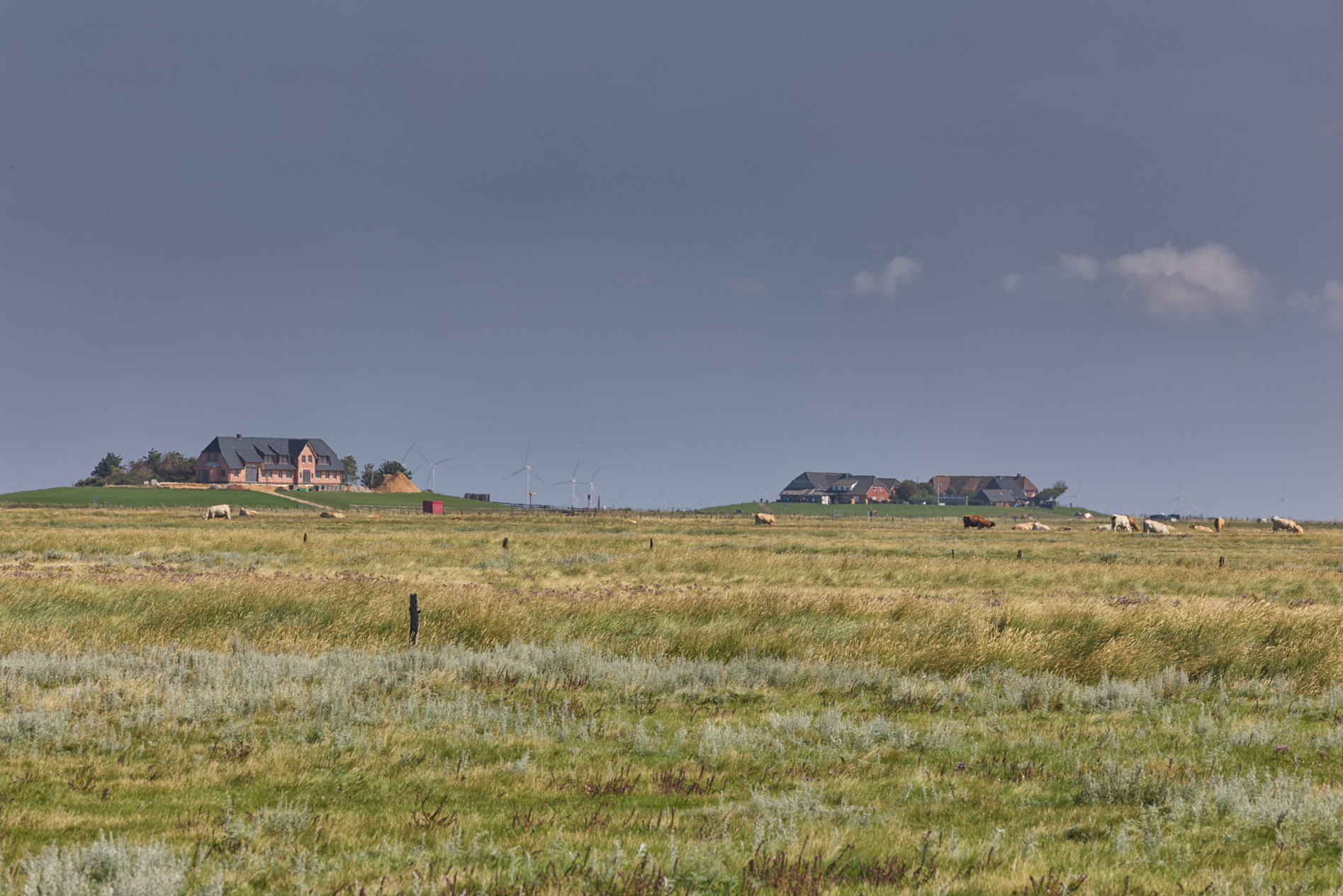 Hallig Langeneß hat uns wieder