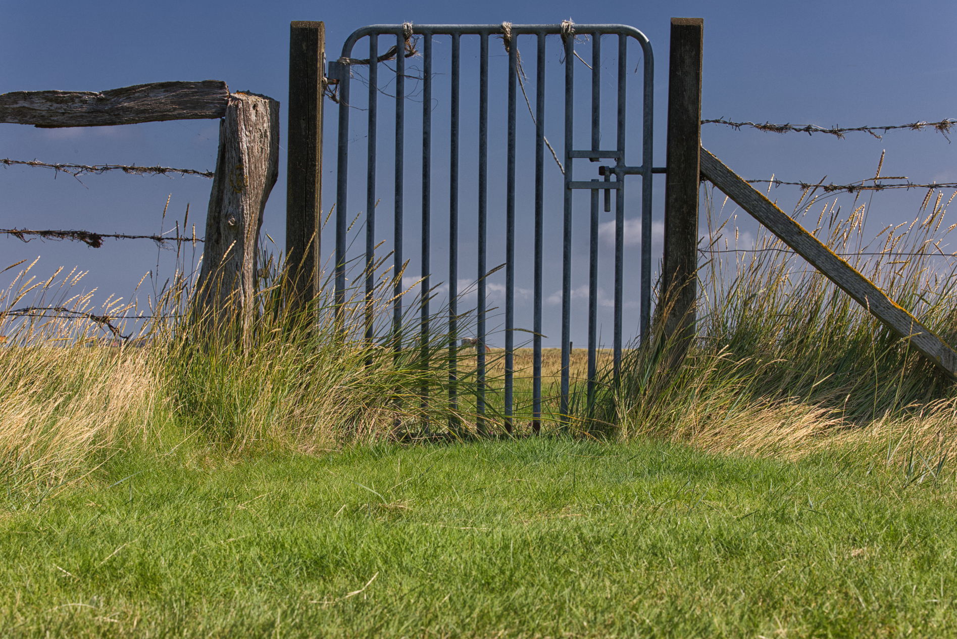 Hallig Langeneß hat uns wieder