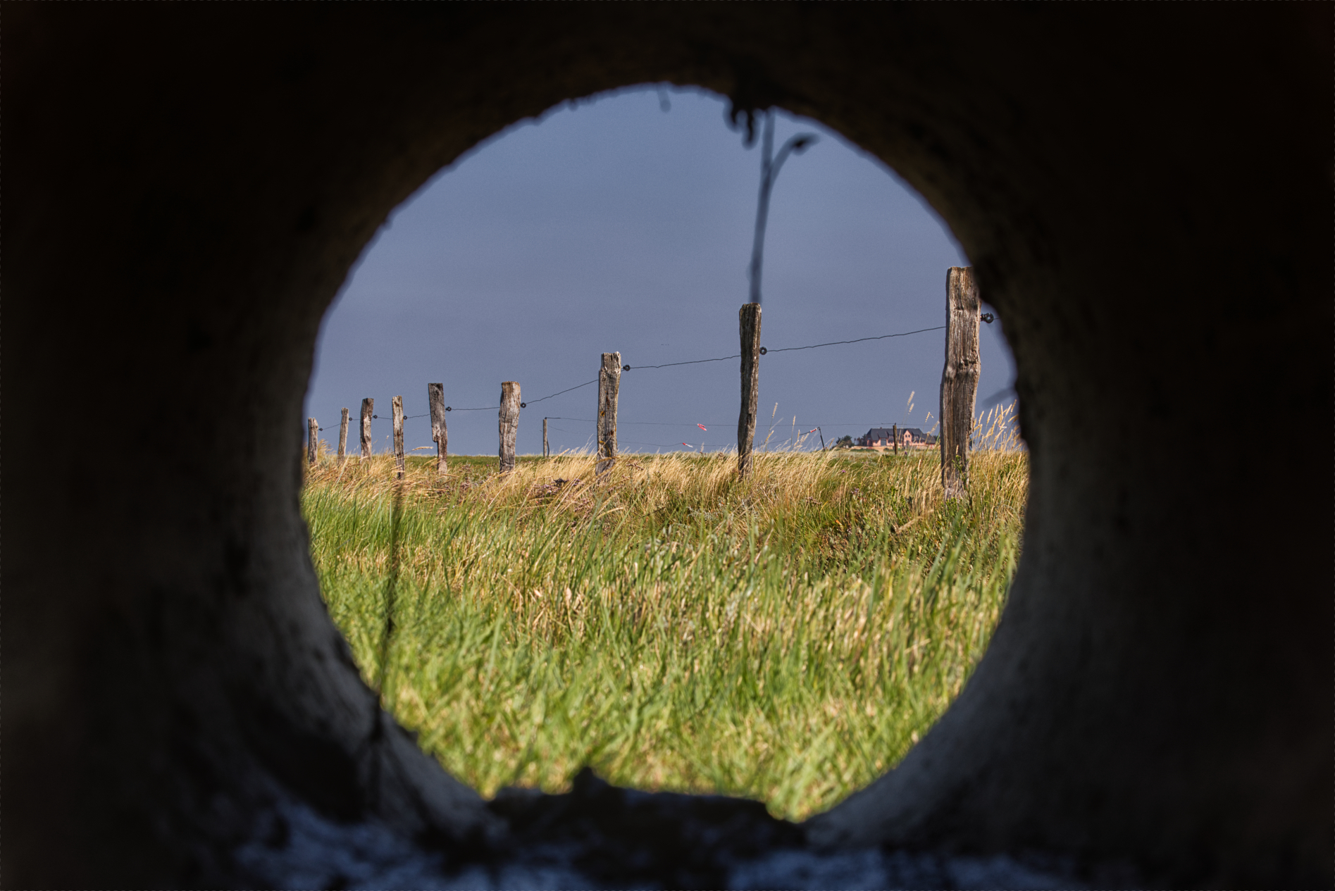 Hallig Langeneß hat uns wieder