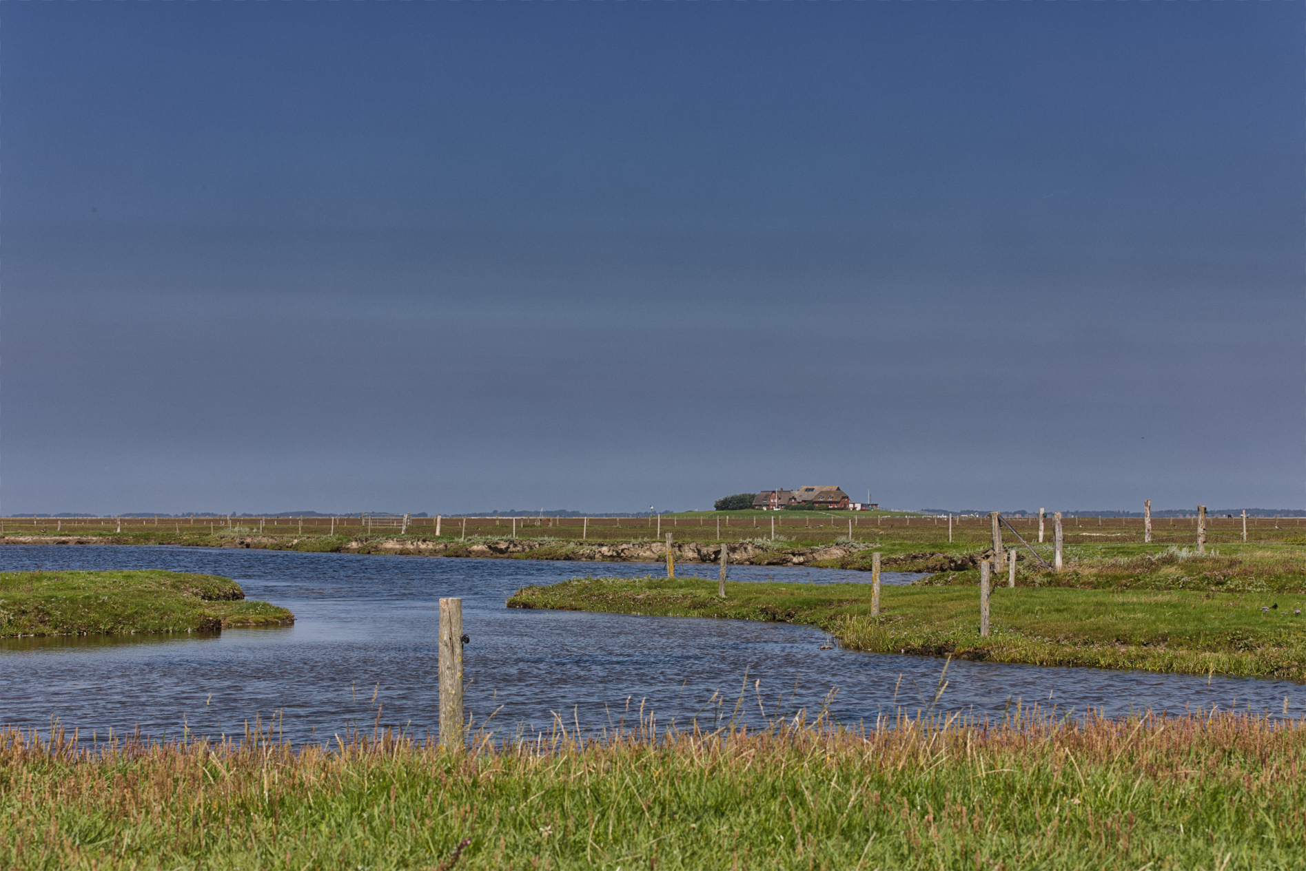Hallig Langeneß hat uns wieder