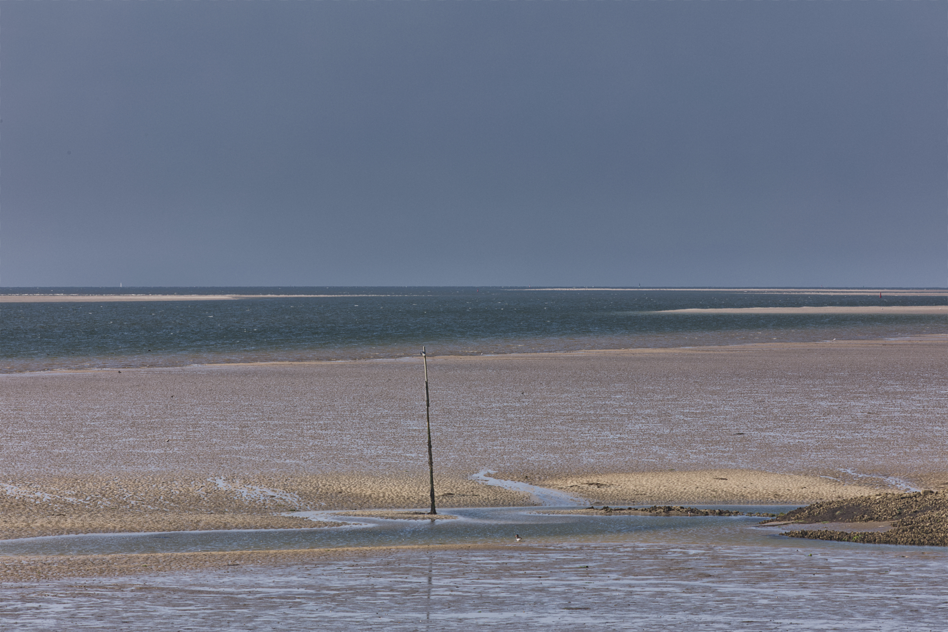 Hallig Langeneß hat uns wieder