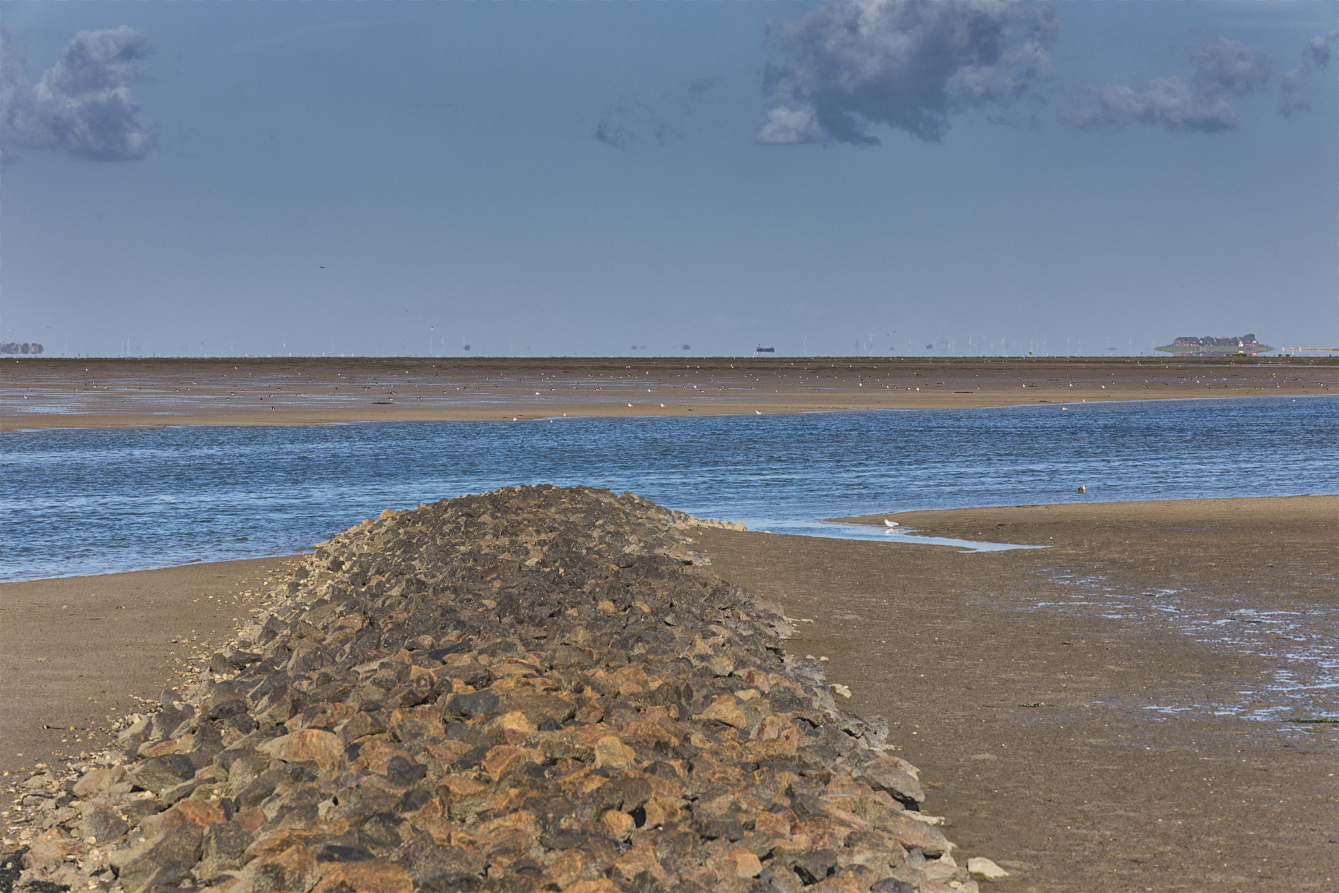 Hallig Langeneß hat uns wieder