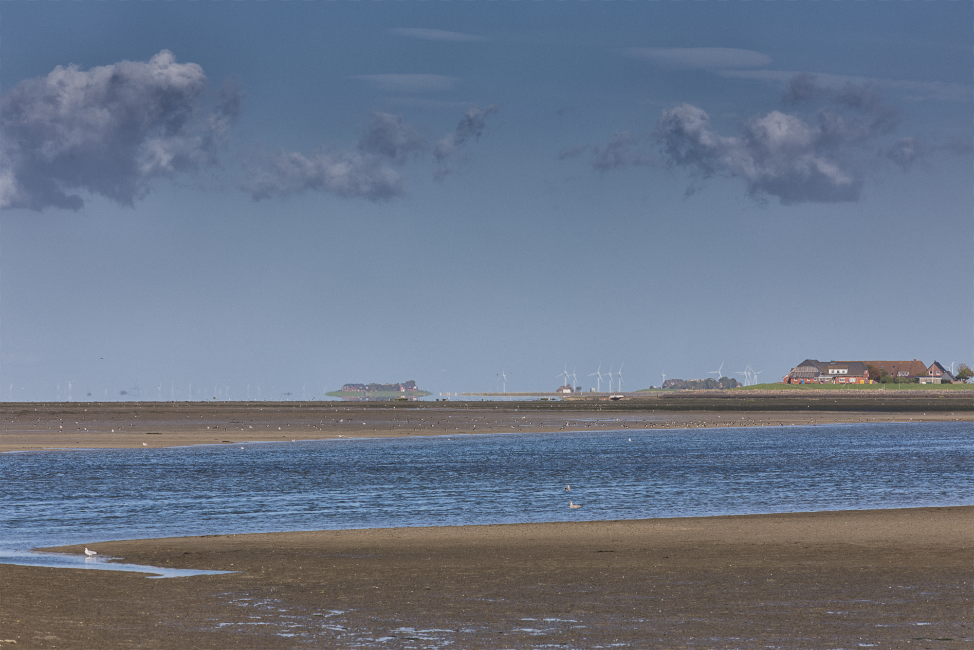 Hallig Langeneß hat uns wieder