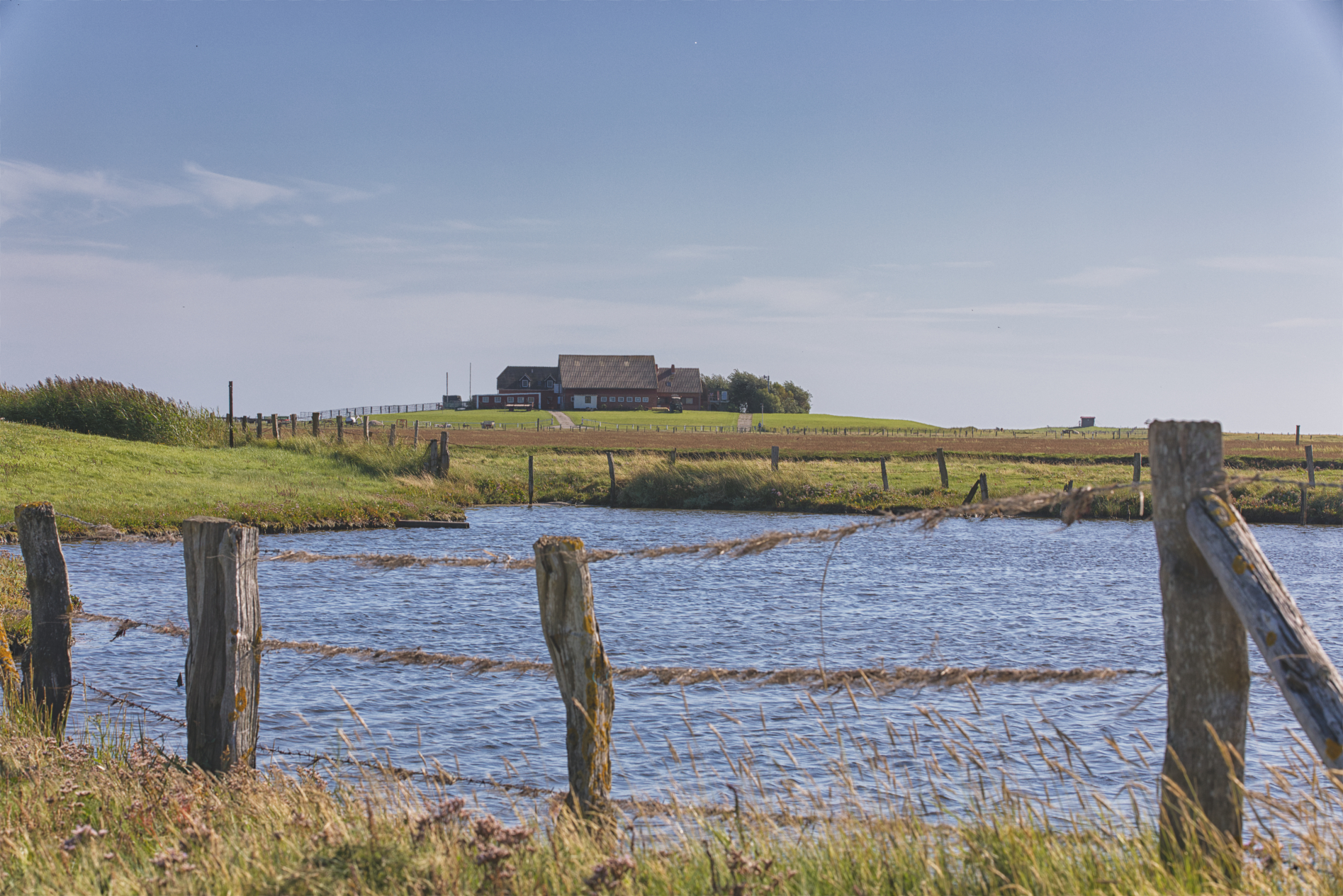 Hallig Langeneß hat uns wieder