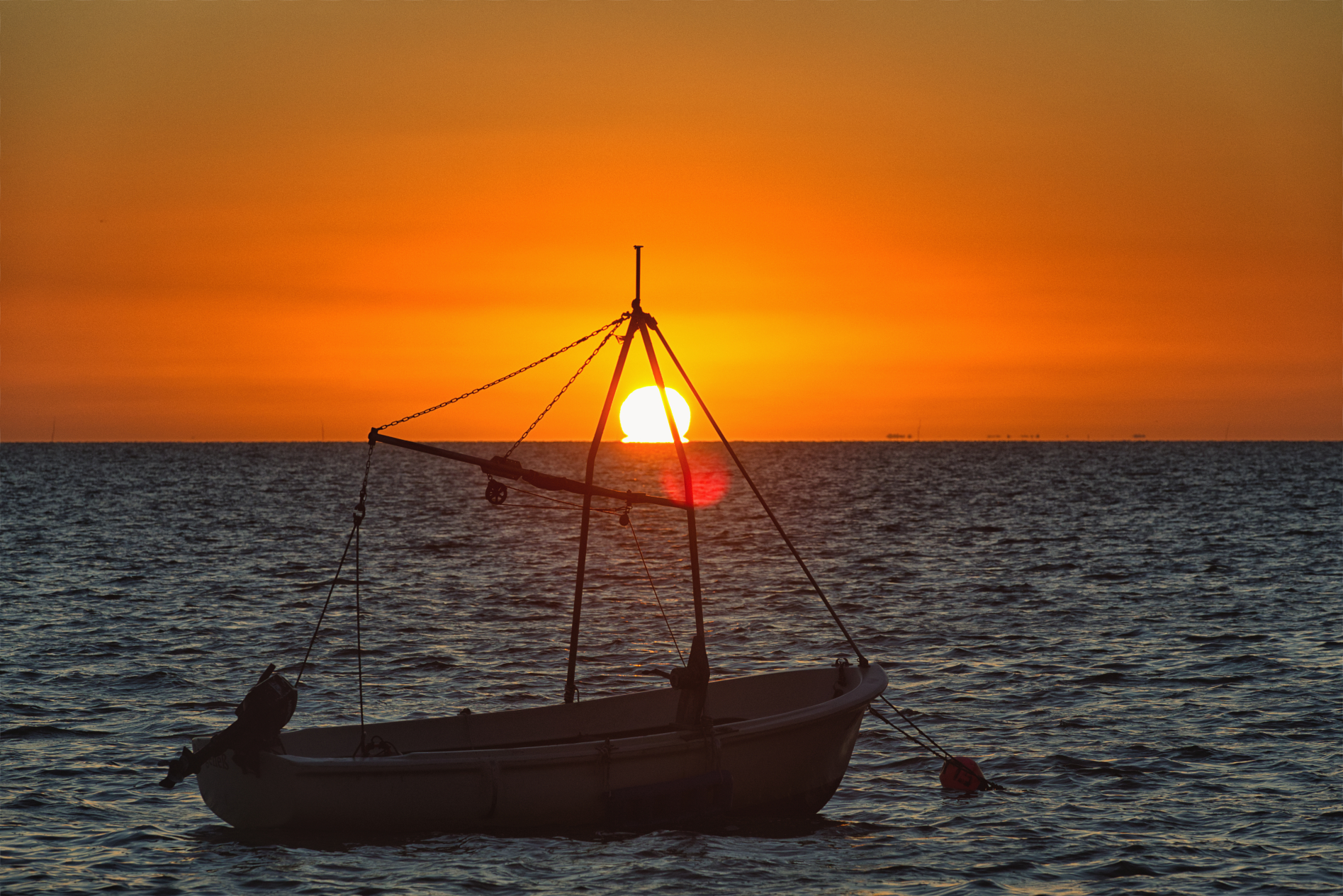 Hallig Langeneß hat uns wieder