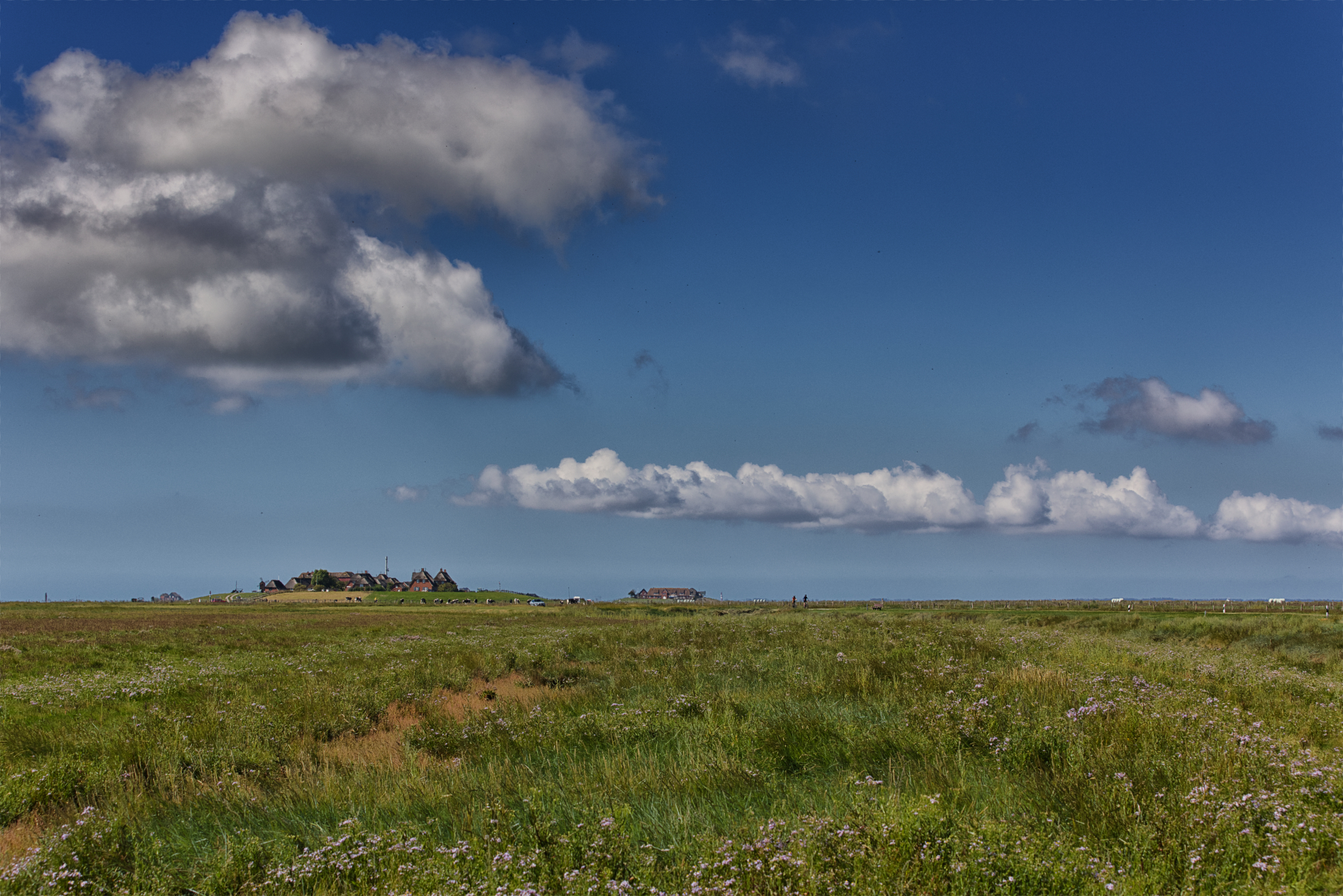 Hallig Langeneß hat uns wieder