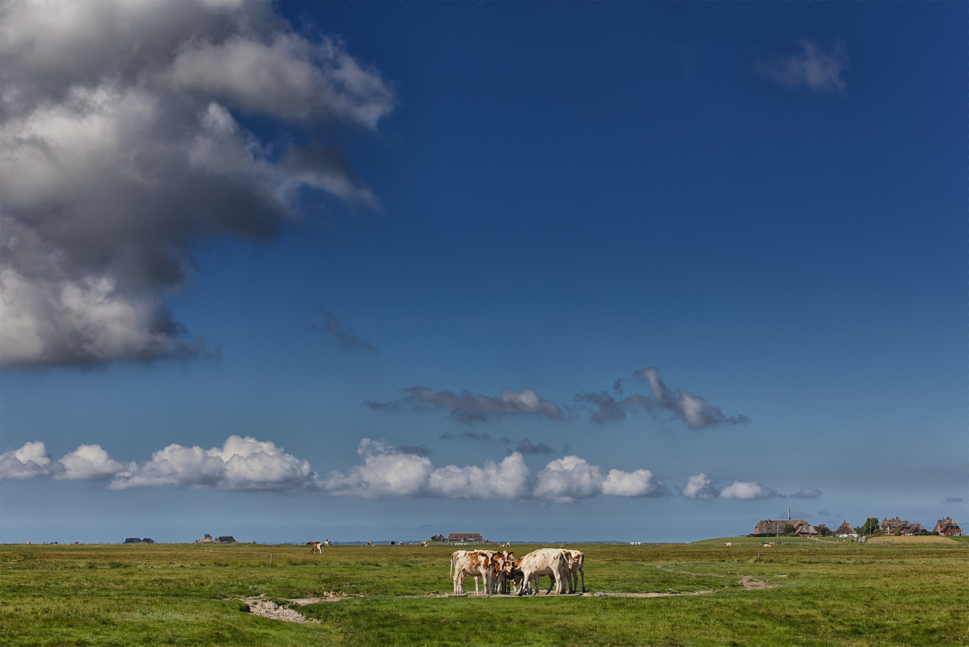Hallig Langeneß hat uns wieder