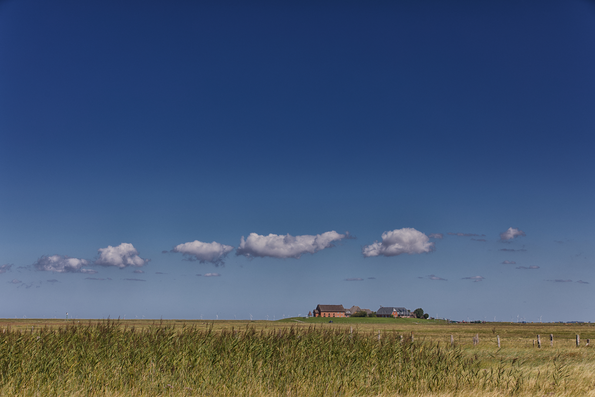 Hallig Langeneß hat uns wieder