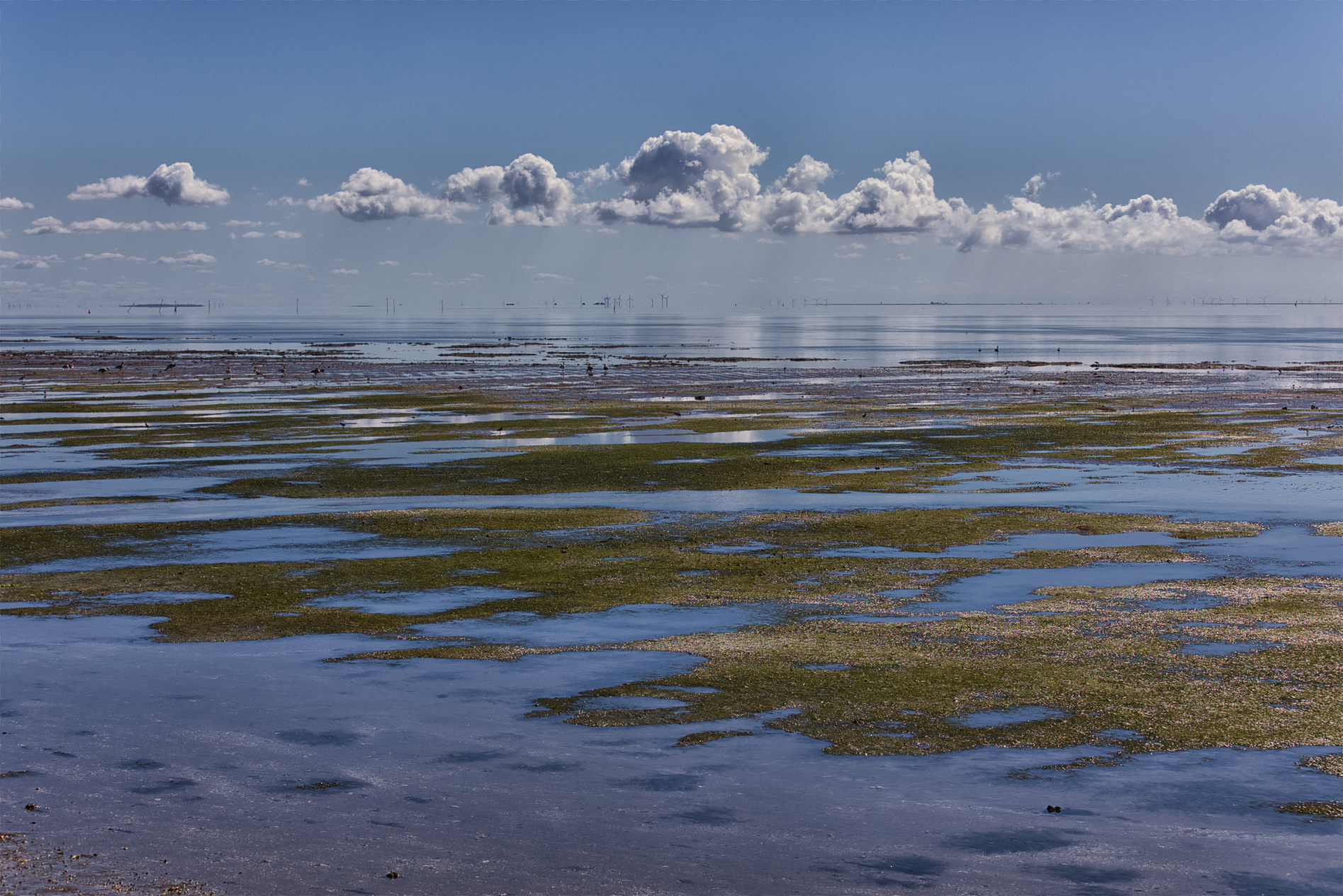 Hallig Langeneß hat uns wieder