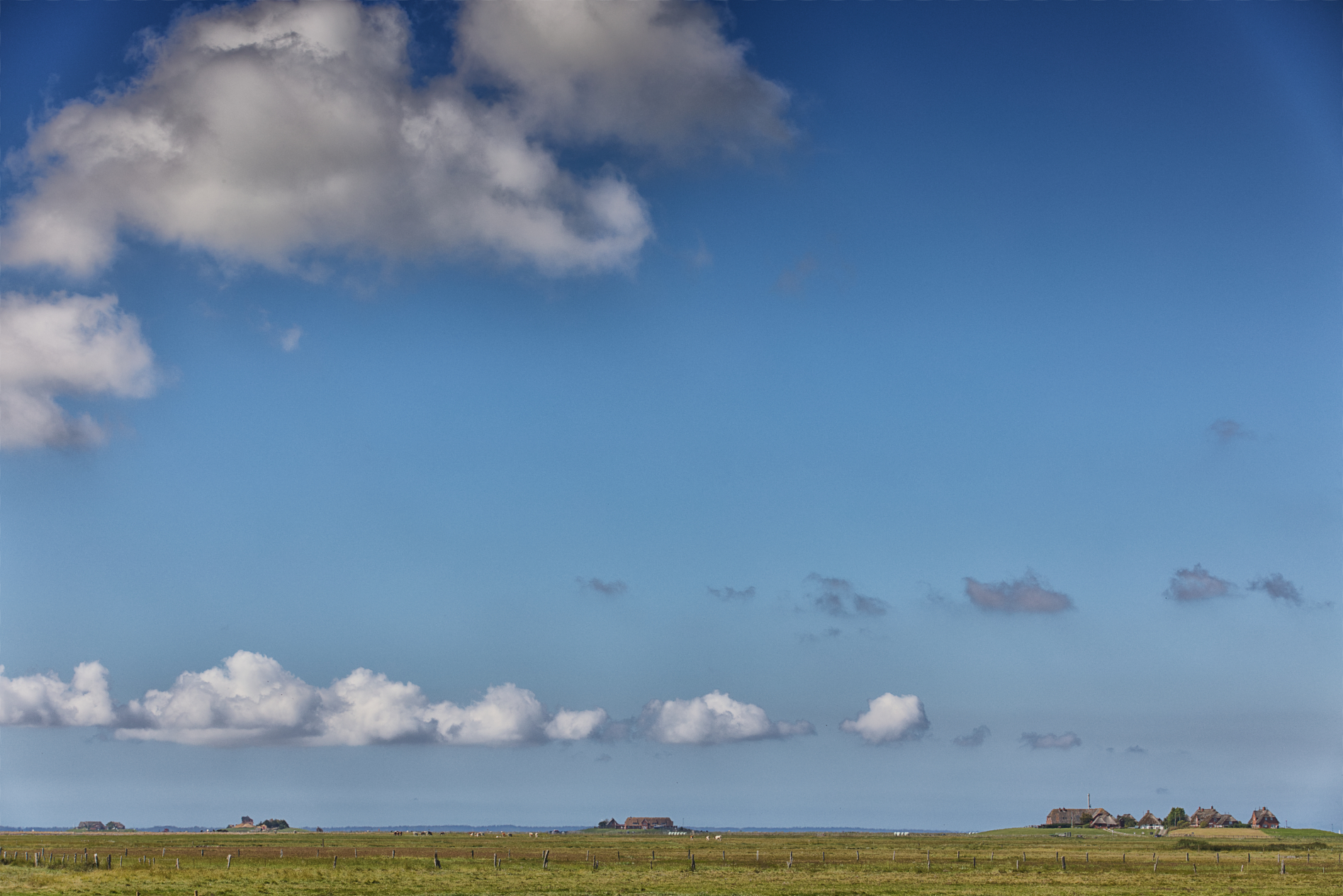 Hallig Langeneß hat uns wieder