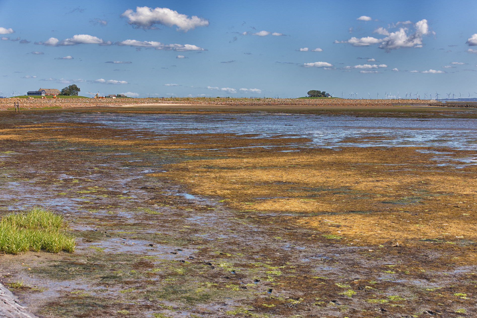 Hallig Langeneß hat uns wieder