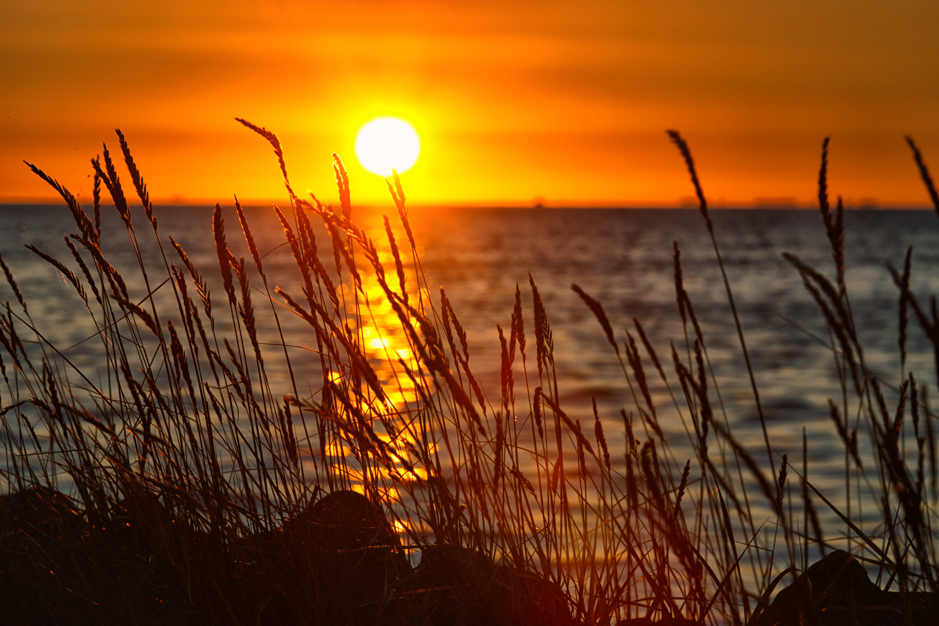 Hallig Langeneß hat uns wieder