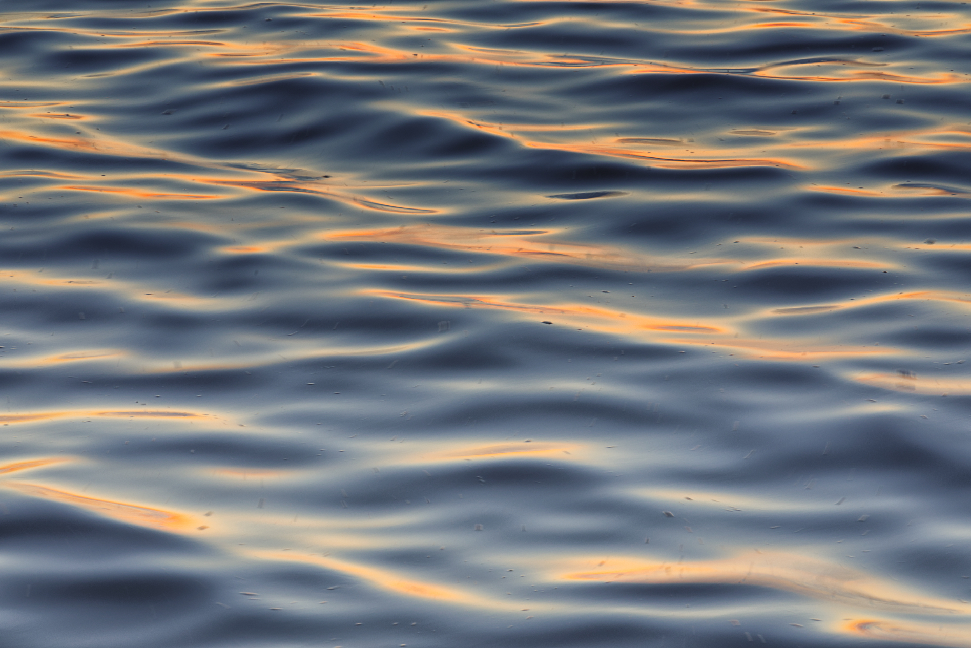 Hallig Langeneß hat uns wieder