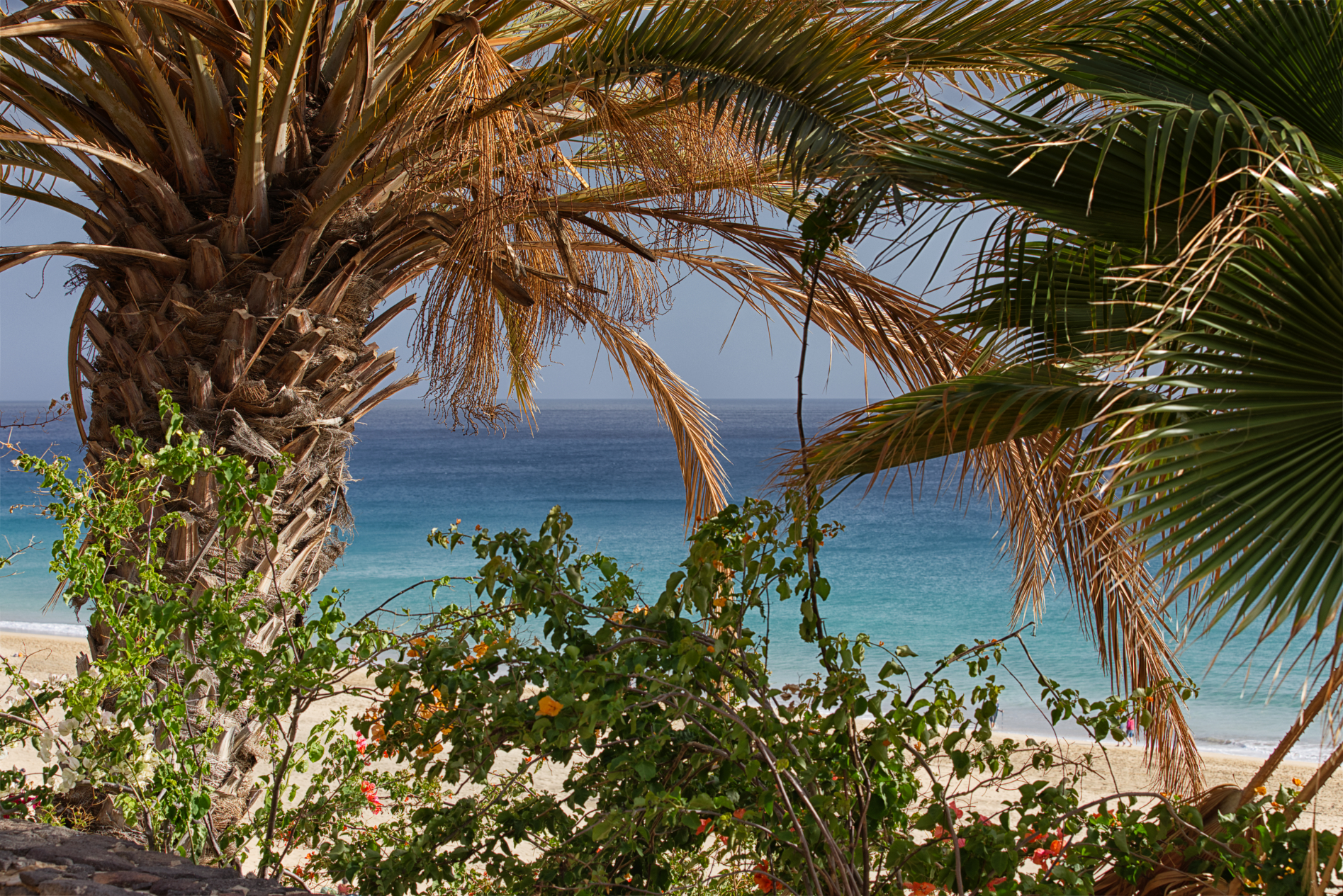 Oberhalb der großen Düne