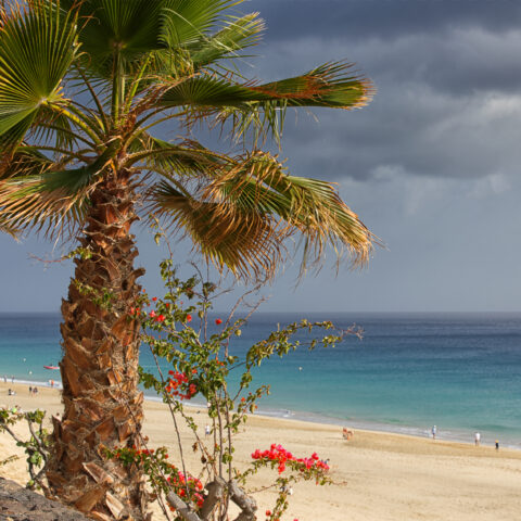 Morro Jable - what else?