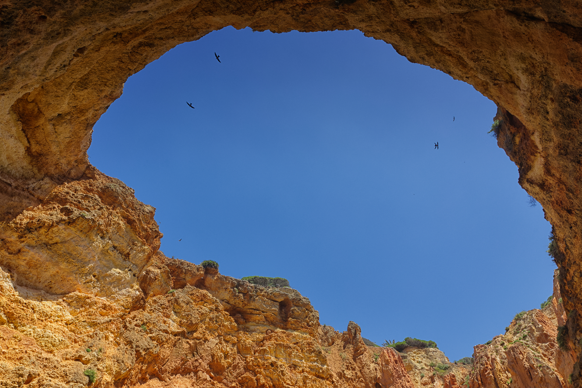 Wieder im Bann der Algarve