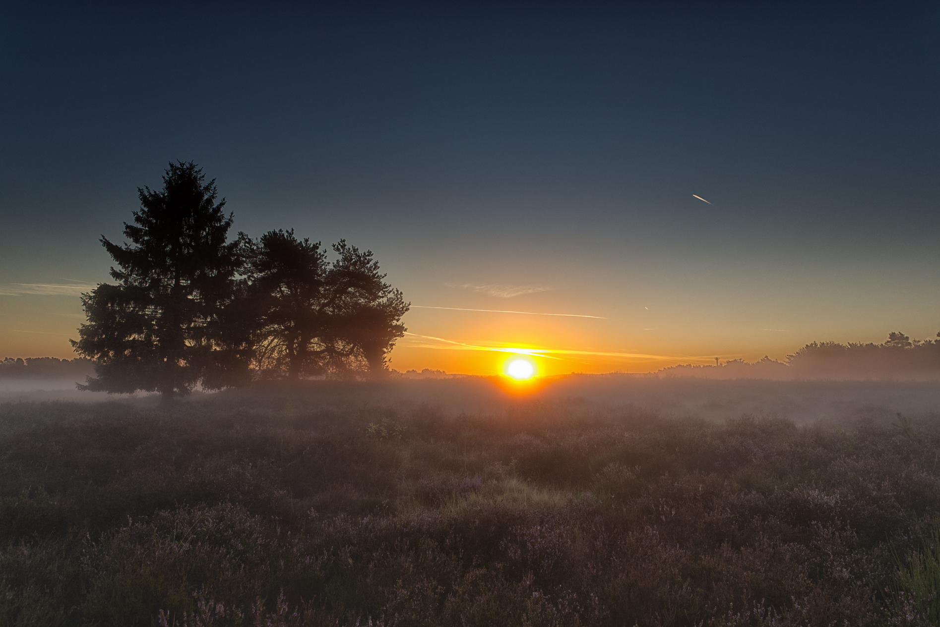 Mehlinger Heide 4