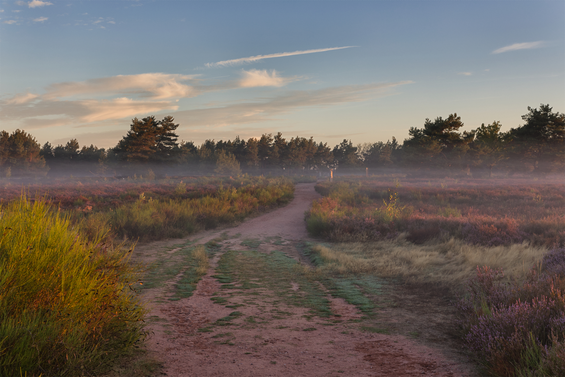 Mehlinger Heide 5